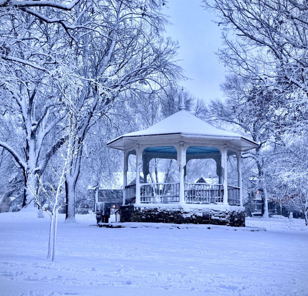 The Orton Park gazebo covered in snow in a snowy park