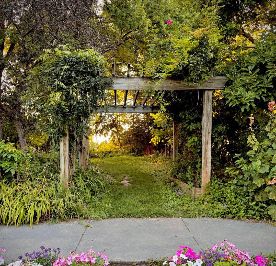 The pergola entrance to Willy Street Park in summer surrounded by plants